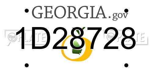 1D28728 Georgia License Plate