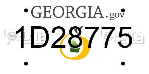 1D28775 Georgia License Plate