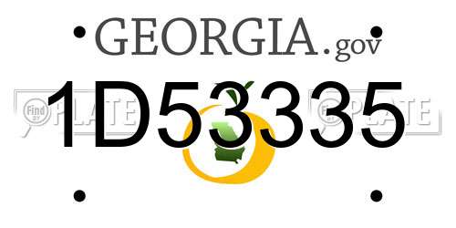 1D53335 Georgia License Plate