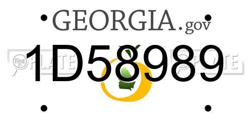 1D58989 Georgia License Plate