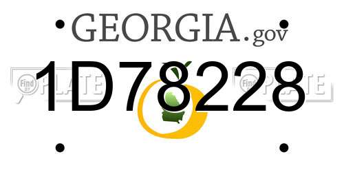 1D78228 Georgia License Plate