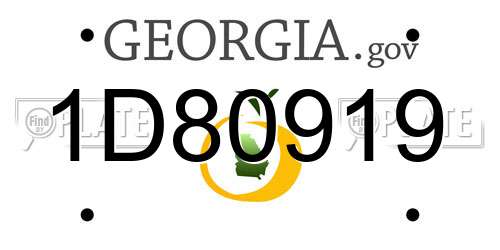 1D80919 Georgia License Plate