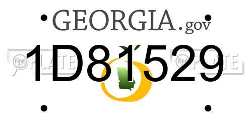 1D81529 Georgia License Plate