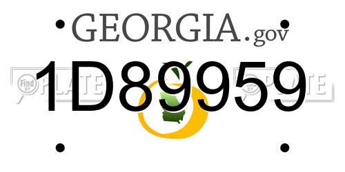 1D89959 Georgia License Plate