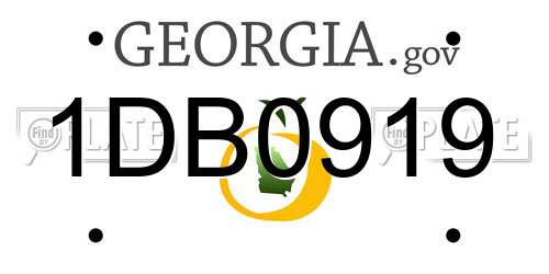 1DB0919 Georgia License Plate