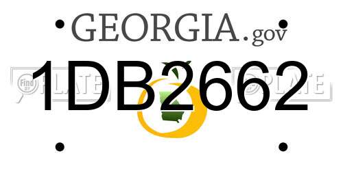 1DB2662 Georgia License Plate