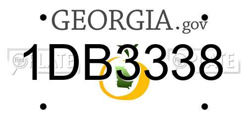 1DB3338 Georgia License Plate