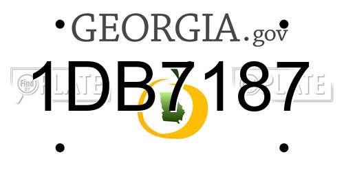 1DB7187 Georgia License Plate