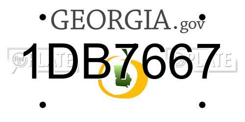 1DB7667 Georgia License Plate