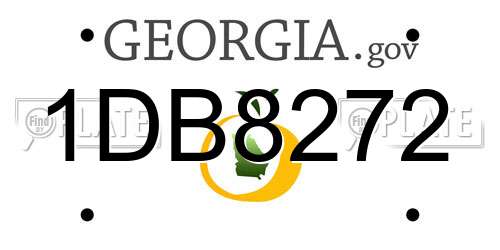 1DB8272 Georgia License Plate
