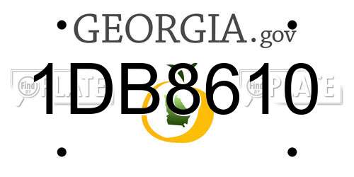 1DB8610 Georgia License Plate