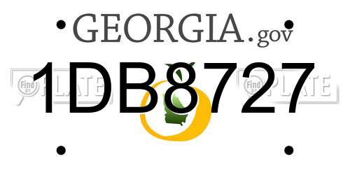 1DB8727 Georgia License Plate