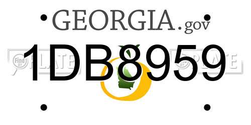 1DB8959 Georgia License Plate