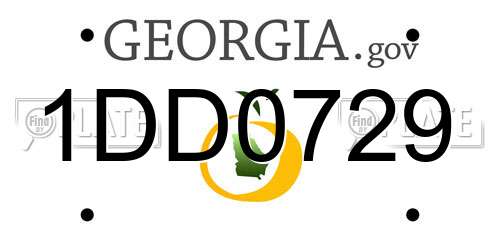1DD0729 Georgia License Plate