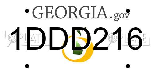 1DDD216 Georgia License Plate
