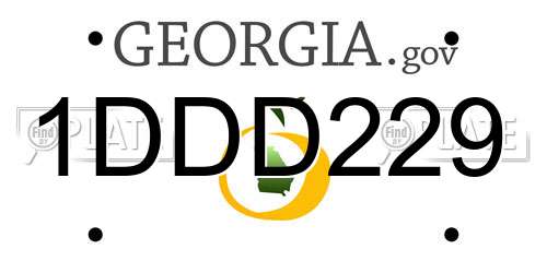 1DDD229 Georgia License Plate