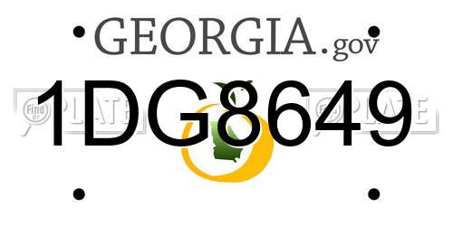 1DG8649 Georgia License Plate