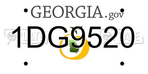 1DG9520 Georgia License Plate