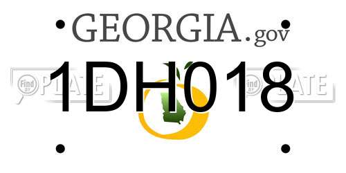 1DH018 Georgia License Plate