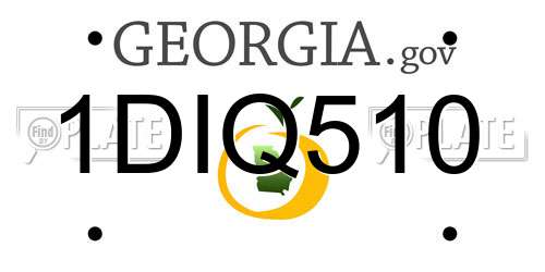 1DIQ510 Georgia License Plate