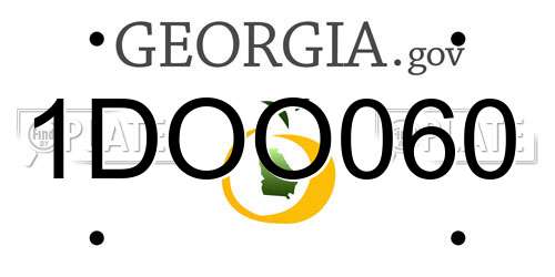 1DOO060 Georgia License Plate