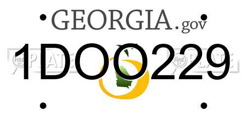 1DOO229 Georgia License Plate