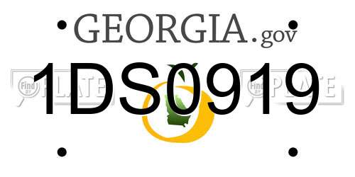 1DS0919 Georgia License Plate