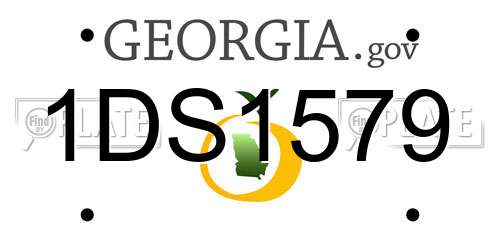 1DS1579 Georgia License Plate