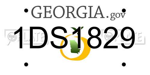 1DS1829 Georgia License Plate