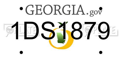 1DS1879 Georgia License Plate