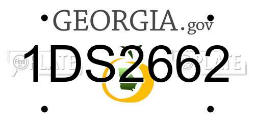 1DS2662 Georgia License Plate
