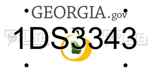 1DS3343 Georgia License Plate