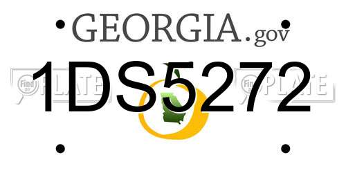 1DS5272 Georgia License Plate