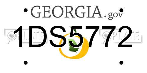 1DS5772 Georgia License Plate