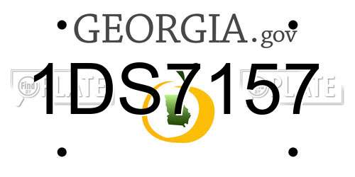 1DS7157 Georgia License Plate