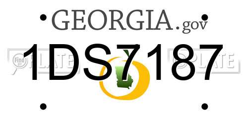 1DS7187 Georgia License Plate
