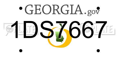 1DS7667 Georgia License Plate