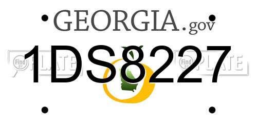 1DS8227 Georgia License Plate