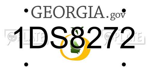 1DS8272 Georgia License Plate