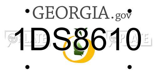 1DS8610 Georgia License Plate