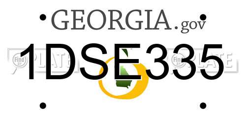 1DSE335 Georgia License Plate