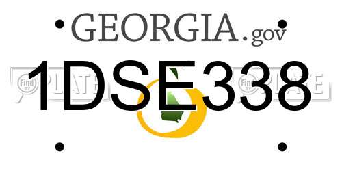 1DSE338 Georgia License Plate