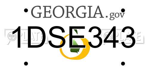 1DSE343 Georgia License Plate
