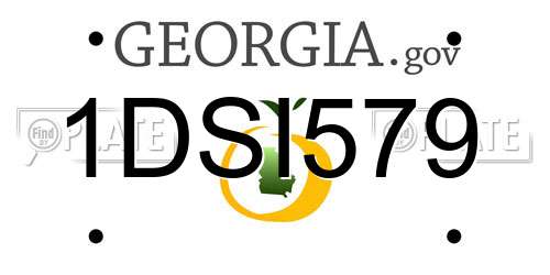 1DSI579 Georgia License Plate