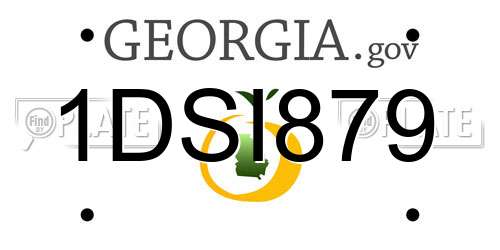 1DSI879 Georgia License Plate
