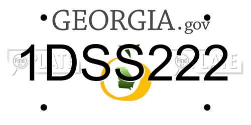 1DSS222 Georgia License Plate