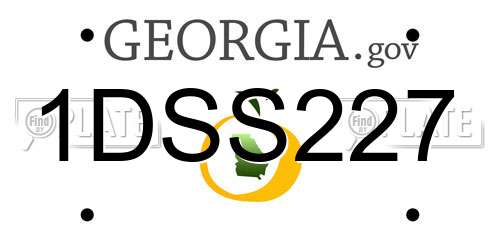 1DSS227 Georgia License Plate