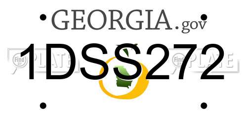 1DSS272 Georgia License Plate