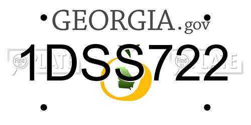 1DSS722 Georgia License Plate