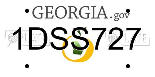 1DSS727 Georgia License Plate